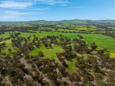 Lifestyle For Sale - VIC - Whiteheads Creek - 3660 - Fairholm- circa 1874 (Image 2)