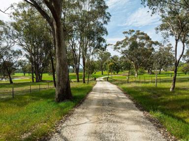 Lifestyle For Sale - VIC - Whiteheads Creek - 3660 - Fairholm- circa 1874  (Image 2)
