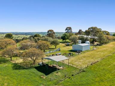Livestock Auction - NSW - Young - 2594 - "Pleasant View" 174.5 Acres* With Stunning Views in Every Direction  (Image 2)