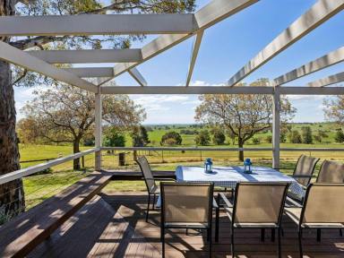 Lifestyle Auction - NSW - Young - 2594 - "Pleasant View" 174.5 Acres* With Stunning Views in Every Direction  (Image 2)