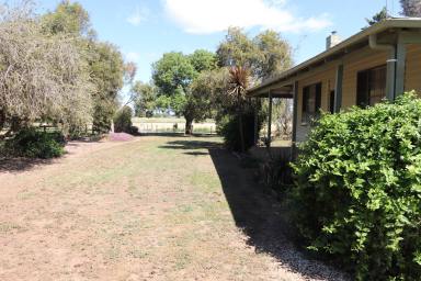 Lifestyle For Sale - VIC - Kyabram - 3620 - Lifestyle Property - 2.26ha (5.58 Acres) - The Perfect Semi-Rural Escape  (Image 2)