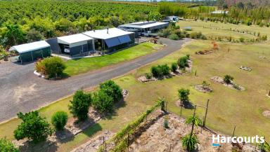 Residential Block For Sale - QLD - North Isis - 4660 - 37.1 ACRES OF SELF SUFFICIENT LIVING - RUNNING CREEK  (Image 2)