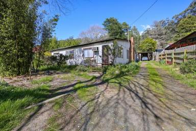 House For Sale - VIC - Noojee - 3833 - HANDYMAN'S CHALLENGE (Image 2)