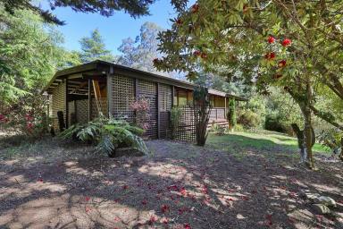 Acreage/Semi-rural Sold - VIC - Piedmont - 3833 - HIDDEN HAVEN (Image 2)