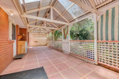 House For Sale - VIC - Mildura - 3500 - ALL THE RIGHT FOUNDATIONS, SEE THE POTENTIAL  (Image 2)