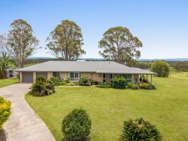 Lifestyle For Sale - NSW - Piora - 2470 - Modern Country Living  (Image 2)