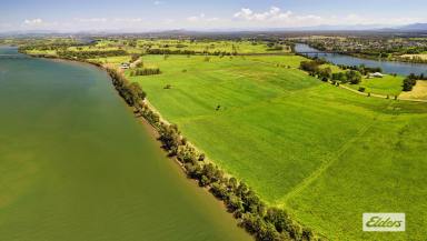 Mixed Farming For Sale - NSW - Dumaresq Island - 2430 - Island Living on Rich Riverfront Farmland  (Image 2)