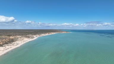 Lifestyle For Sale - WA - Nanga - 6537 - Shark Bay Coastal Land Banking & Development Opportunity - 4.5km of Uninterrupted Coastline  (Image 2)