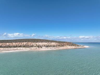 Lifestyle For Sale - WA - Nanga - 6537 - SHARK BAY OCEANFRONT FREEHOLD DEVELOPMENT OPPORTUNITY  (Image 2)