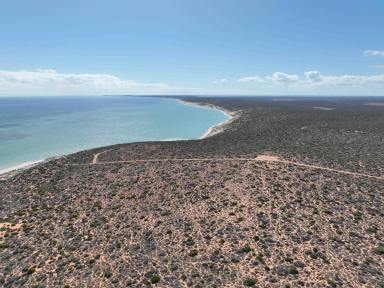 Lifestyle For Sale - WA - Nanga - 6537 - Shark Bay Coastal Land Banking & Development Opportunity - 4.5km of Uninterrupted Coastline  (Image 2)