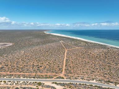 Lifestyle For Sale - WA - Nanga - 6537 - SHARK BAY OCEANFRONT FREEHOLD DEVELOPMENT OPPORTUNITY  (Image 2)