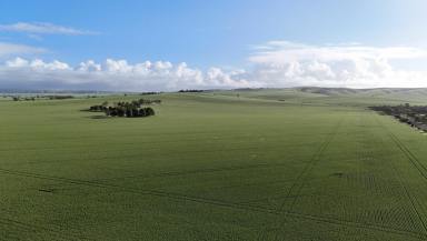 Mixed Farming For Sale - SA - Crystal Brook - 5523 - 'Crystal Valley'  (Image 2)