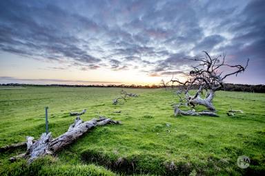 Residential Block For Sale - VIC - Inverloch - 3996 - Coastal Country Living with Scale  (Image 2)