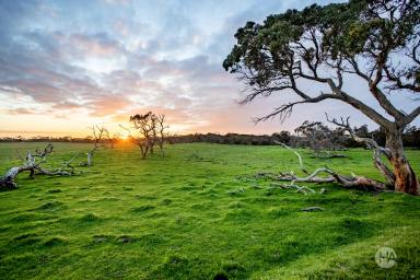 Residential Block For Sale - VIC - Inverloch - 3996 - Coastal Country Living with Scale  (Image 2)