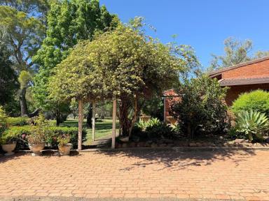 House For Sale - NSW - Moree - 2400 - MINUTES FROM TOWN… MILES FROM ANYWHERE  (Image 2)