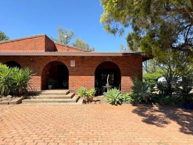 House For Sale - NSW - Moree - 2400 - MINUTES FROM TOWN… MILES FROM ANYWHERE  (Image 2)