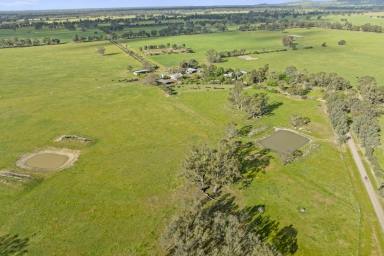Mixed Farming For Sale - VIC - Euroa - 3666 - Flowerdale Farm - A Productive and Efficient Grazing Operation with Renovated c1904 Homestead  (Image 2)