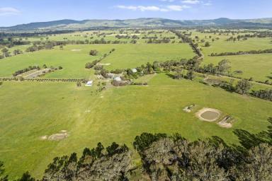 Mixed Farming For Sale - VIC - Euroa - 3666 - Flowerdale Farm - A Productive and Efficient Grazing Operation with Renovated c1904 Homestead  (Image 2)