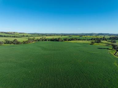 Mixed Farming Auction - NSW - Mountain Creek - 2644 - The Jewel of Mountain Creek  (Image 2)