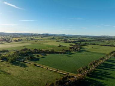 Mixed Farming Auction - NSW - Mountain Creek - 2644 - The Jewel of Mountain Creek  (Image 2)