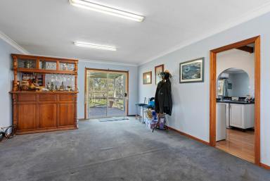 Lifestyle For Sale - NSW - Goulburn - 2580 - Two homes, one incredible lifestyle opportunity  (Image 2)