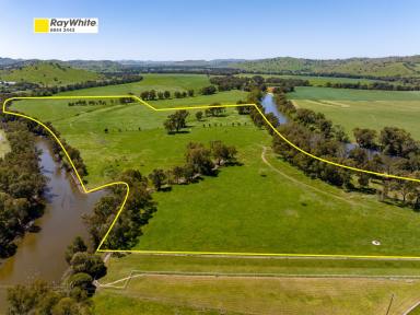 Residential Block For Sale - NSW - Gundagai - 2722 - Murrumbidgee River Gundagai  (Image 2)