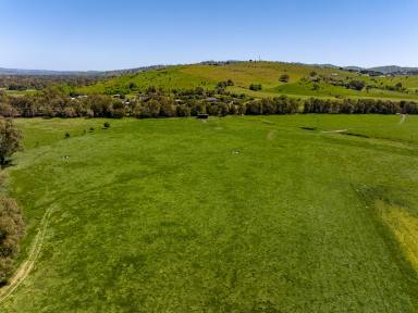 Residential Block For Sale - NSW - Gundagai - 2722 - Murrumbidgee River Gundagai  (Image 2)