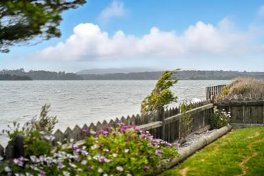 House For Sale - TAS - Beauty Point - 7270 - Waterfront Property!  (Image 2)