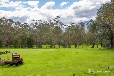 House For Sale - VIC - Launching Place - 3139 - "Brooklands" Yarra Valley Soul  (Image 2)