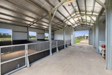 House For Sale - VIC - Huntly - 3551 - Premium 12-Acre Lifestyle Property with Equestrian Facilities  (Image 2)