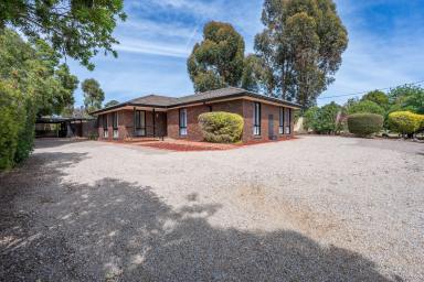 House For Sale - VIC - Wahgunyah - 3687 - This hidden gem is full of surprises and offers ample space for your entire family to thrive.  (Image 2)