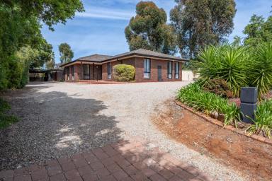 House For Sale - VIC - Wahgunyah - 3687 - A Renovated Family Retreat Just Moments From The Mighty Murray River  (Image 2)