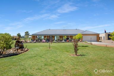 Other (Rural) For Sale - VIC - Boorhaman - 3678 - Modern Country Living with Stunning Rural Views  (Image 2)