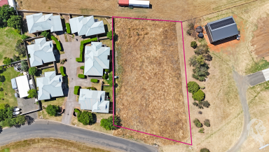 Residential Block For Sale - NSW - Narrabri - 2390 - RARE 3,000SQM BLOCK IN RIVERSIDE DRIVE - PRIME DEVELOPMENT OPPORTUNITY  (Image 2)
