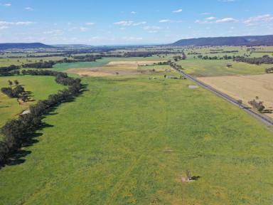 Mixed Farming For Sale - NSW - Bendick Murrell - 2803 - Fantastic Lucerne Flats With 920m* of Creek Frontage  (Image 2)