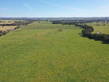 Mixed Farming For Sale - NSW - Bendick Murrell - 2803 - Fantastic Lucerne Flats With 920m* of Creek Frontage  (Image 2)