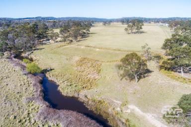 Livestock For Sale - NSW - Shannon Vale - 2370 - 'Winsom Downs'  (Image 2)