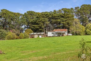 Acreage/Semi-rural For Sale - VIC - Merricks North - 3926 - Rich in History, Ready for the Future  (Image 2)