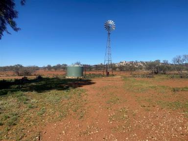 Other (Rural) For Sale - WA - Mount Magnet - 6638 - Hy Brazil Station, Mt Magnet - Pastoral Lease N049828  (Image 2)