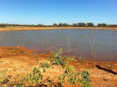 Other (Rural) For Sale - WA - Mount Magnet - 6638 - Hy Brazil Station, Mt Magnet - Pastoral Lease N049828  (Image 2)