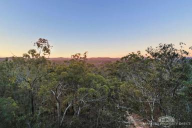 Other (Rural) For Sale - QLD - Koah - 4881 - A Rare Koah Gem – 60 Ha of Untouched Natural Beauty (Image 2)