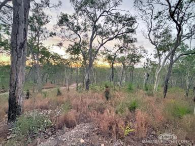 Residential Block For Sale - QLD - Koah - 4881 - A Rare Koah Gem – 60 Ha of Untouched Natural Beauty  (Image 2)