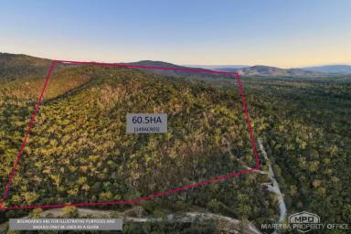 Residential Block For Sale - QLD - Koah - 4881 - A Rare Koah Gem – 60 Ha of Untouched Natural Beauty  (Image 2)