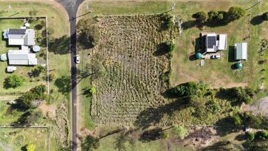 Residential Block For Sale - NSW - Rappville - 2469 - Three Large Blocks, Endless Possibilities in Charming Rappville  (Image 2)