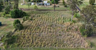 Residential Block For Sale - NSW - Rappville - 2469 - Three Large Blocks, Endless Possibilities in Charming Rappville  (Image 2)