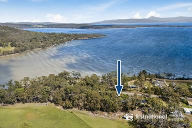 House For Sale - TAS - Lunawanna - 7150 - Bruny Island Beach Retreat - Space, Serenity & Tranquil Channel Views!  (Image 2)