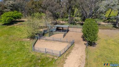 Other (Rural) For Sale - VIC - Glenrowan - 3675 - 371 Acres - Quality Rural Holding  (Image 2)