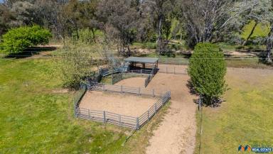 Other (Rural) For Sale - VIC - Glenrowan - 3675 - 371 Acres - Quality Rural Holding (Image 2)