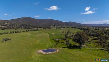 Other (Rural) For Sale - VIC - Glenrowan - 3675 - 371 Acres - Quality Rural Holding  (Image 2)