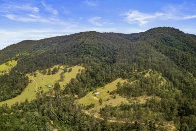 Acreage/Semi-rural For Sale - NSW - Gloucester - 2422 - Private Rainforest Retreat with Creek Access & Off-Grid Potential  (Image 2)
